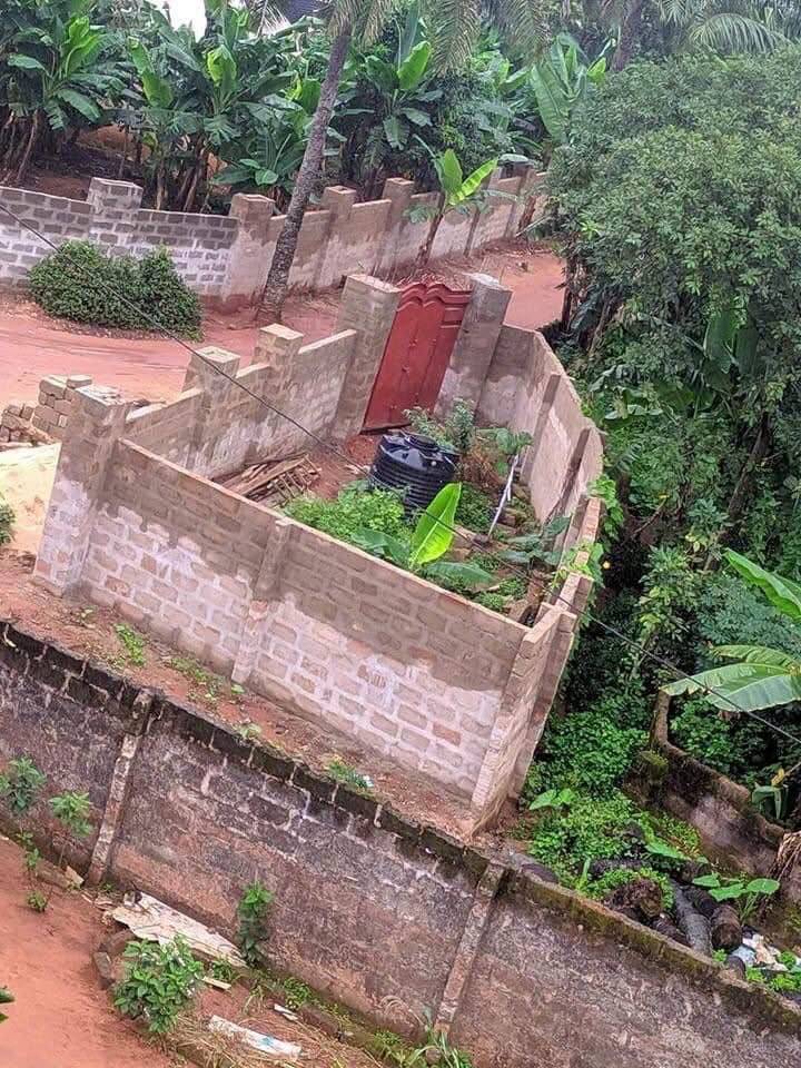 What best can I do with this my Conner-piece of land.
Abeg make una advice me