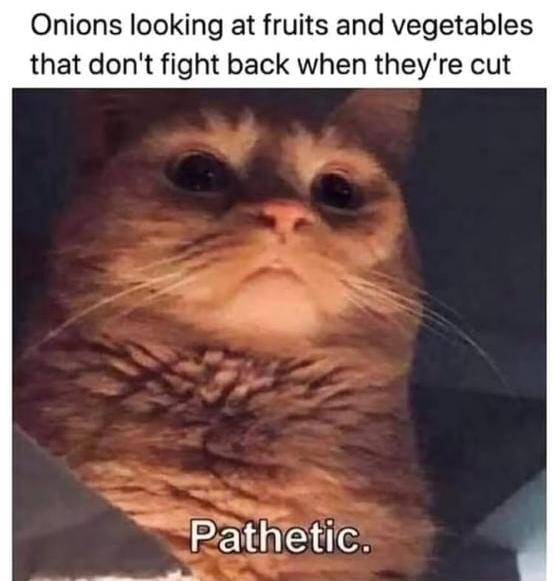 😩😹😹