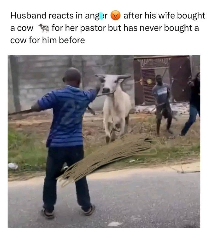 Why will you buy your pastor a cow without telling your husband?? ๐ญ๐ญ