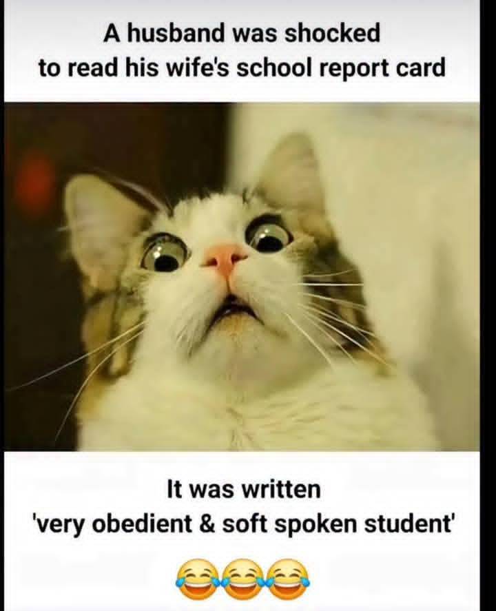 E shock ham 😹😹😹