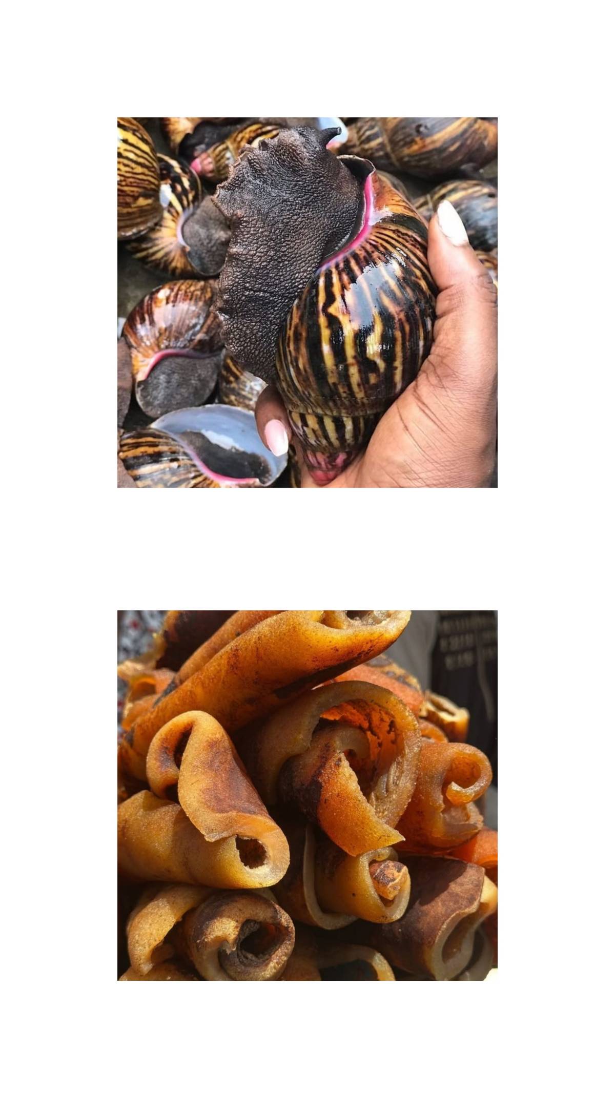 Snail or Kponmo?