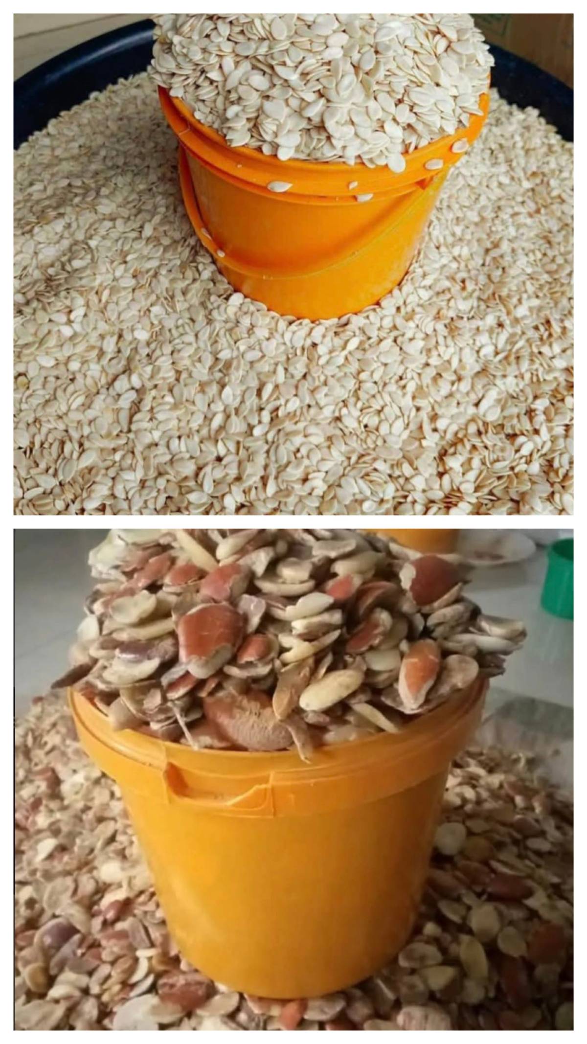 Ogbono or Egusi?