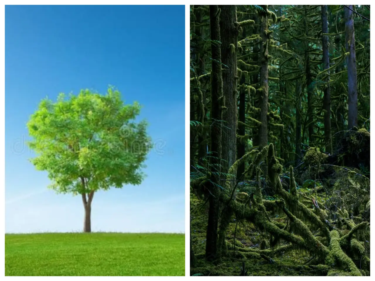 One tree cannot make a forest, we rise faster when we support each other, if you have money and I ha...