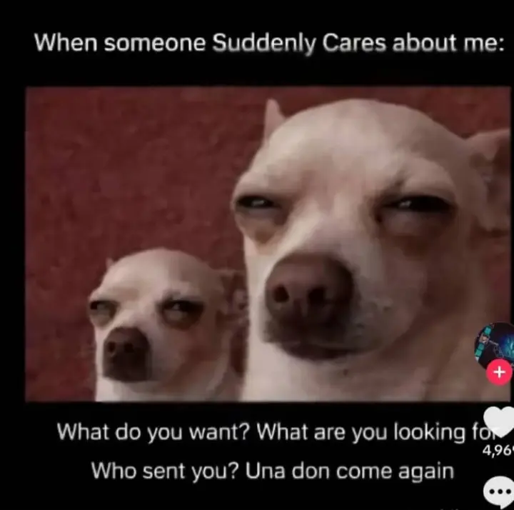 ๐ฏ If you're not really interested in me,
Puliiiizzz, biko leave me alone ๐๐
I Lโฃ๏ธve to be so lov...