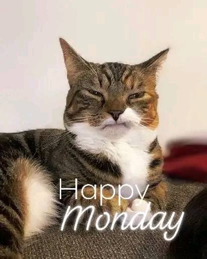 Good morning...start of a new week...
Happy Monday!!! ☕️❤️