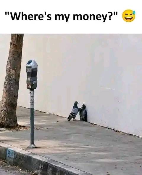 Post by Francis