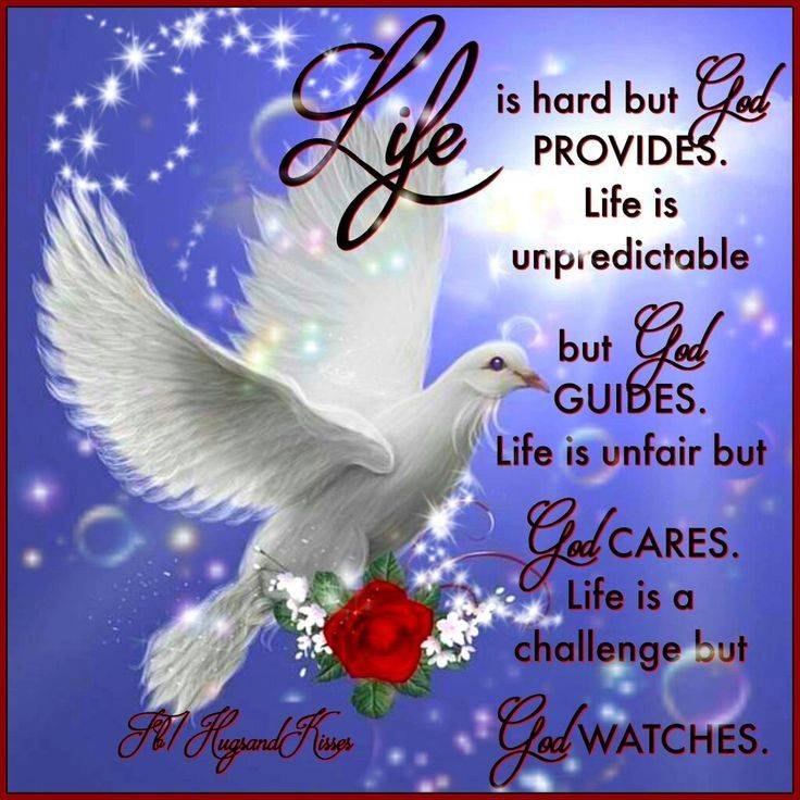 God our all in all!!
My wonderful Lekeelekee family, How's your day going? Just checking up on you o...