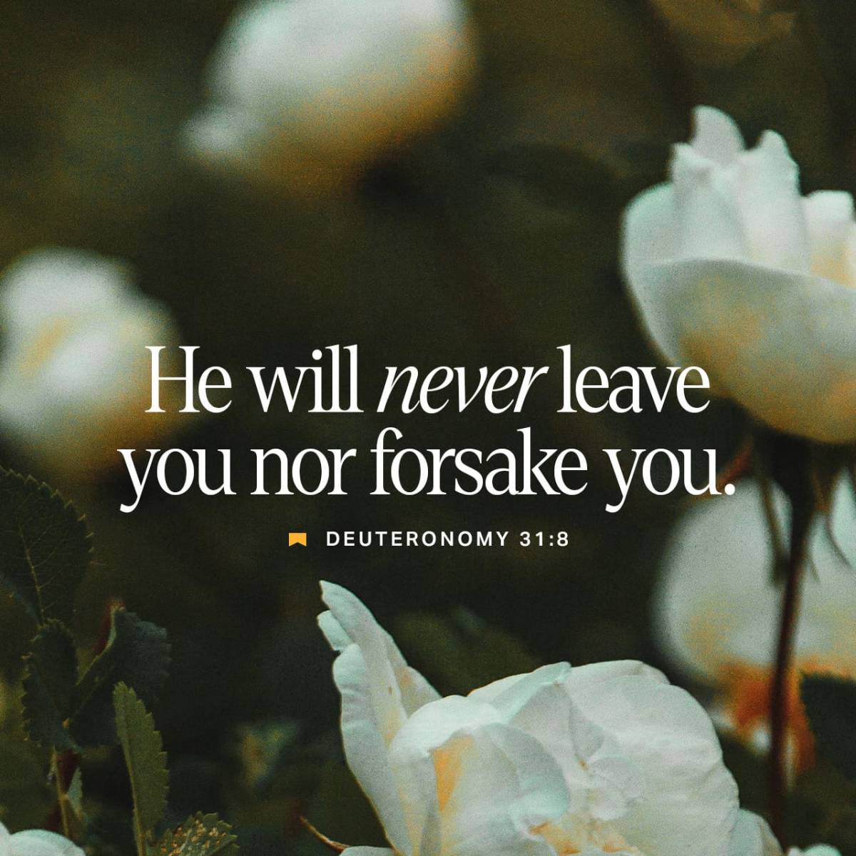 Good morning and good afternoon my beautiful Lekeelekee family. Trust our Monday is going well.
Kno...