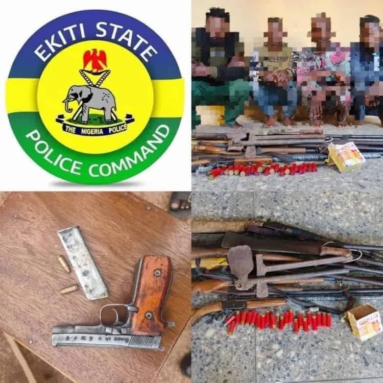 Ekiti Police Arrest Five, Recover Guns Ahead of Governorship Election
Details Here >>> https://ekit...