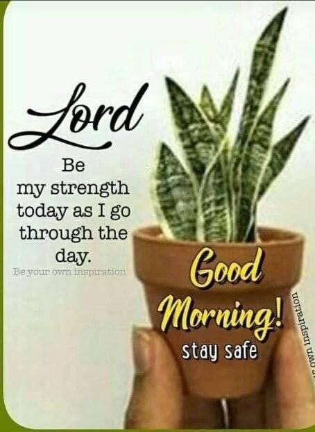 Happy New week kings and Queens, may you all have a productive peaceful week.