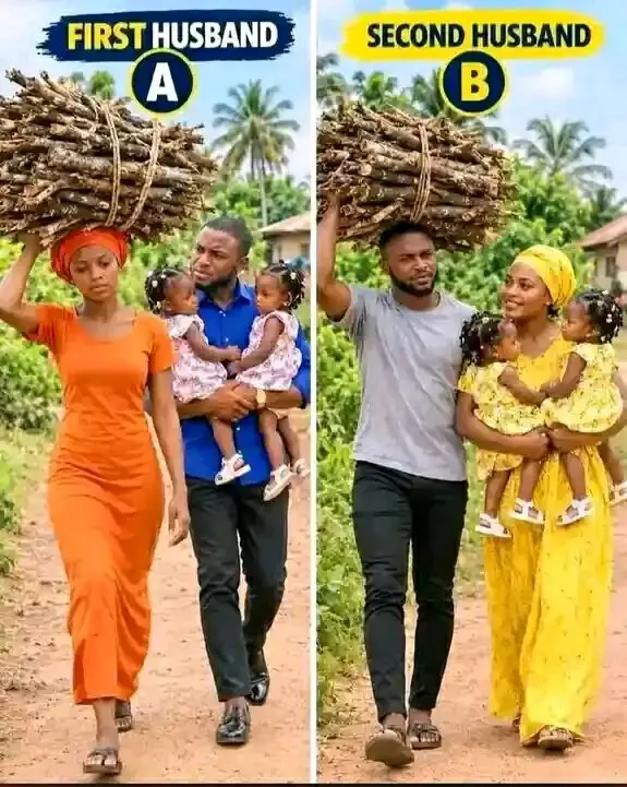 Which is the best