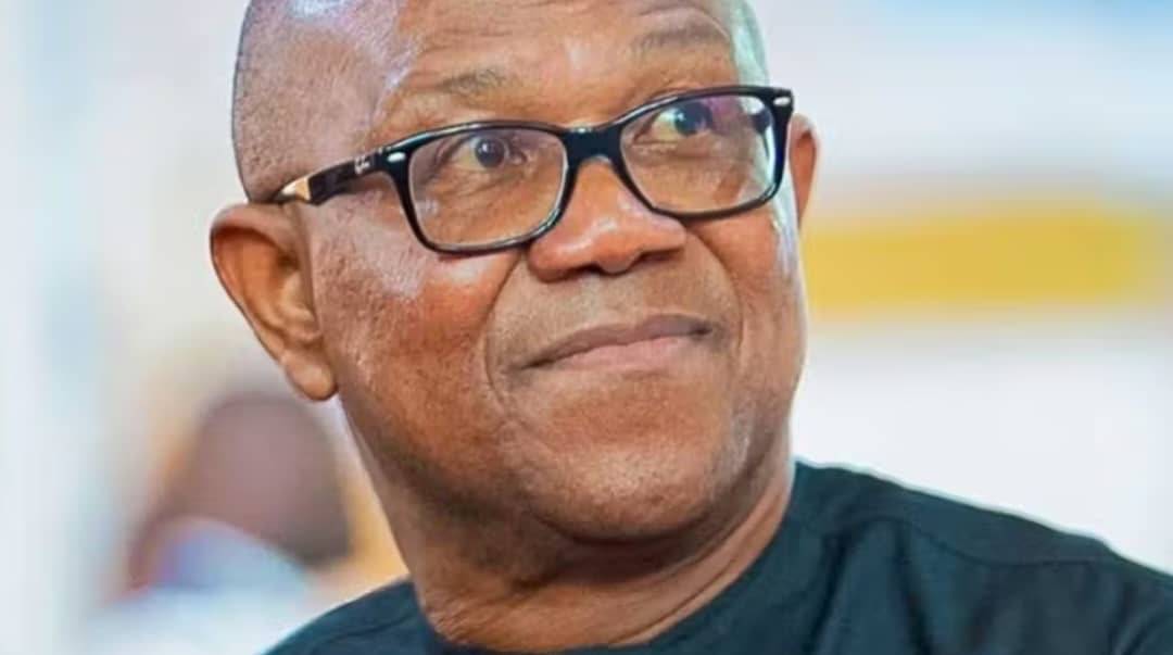 THECABLE MORNING BRIEFING
JUNE 17, 2026
Obi: I’ll negotiate with bandits willing to embrace peace,...