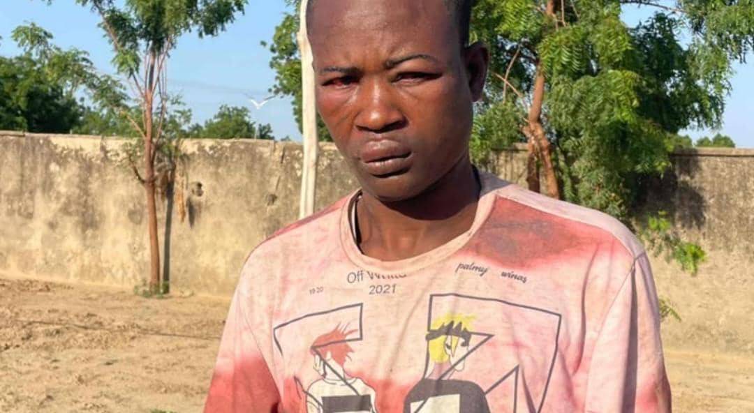 Troops arrest suspected ISWAP member in Borno
Troops of Operation HADIN KAI have arrested a suspect...