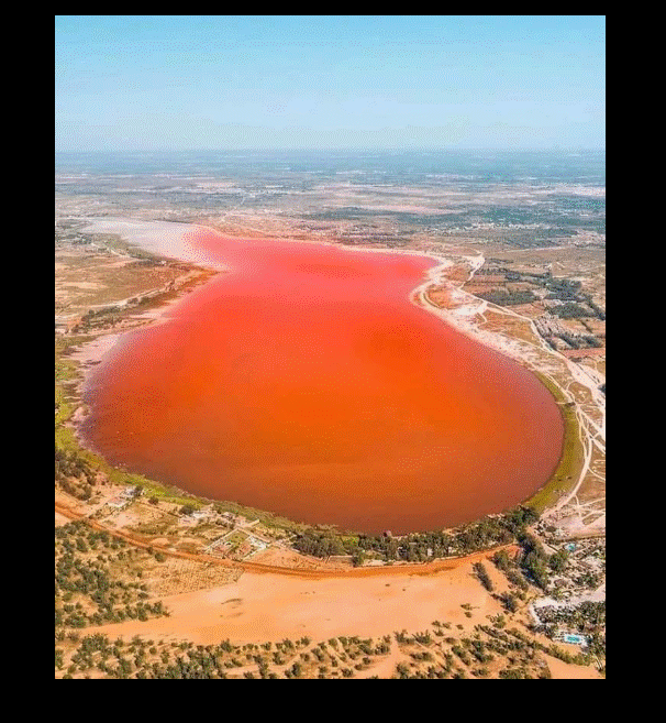 On Today's Episode of: Hidden Gems: Amazing Places You Should Visit at Least Once
11. Lake Retba (L...