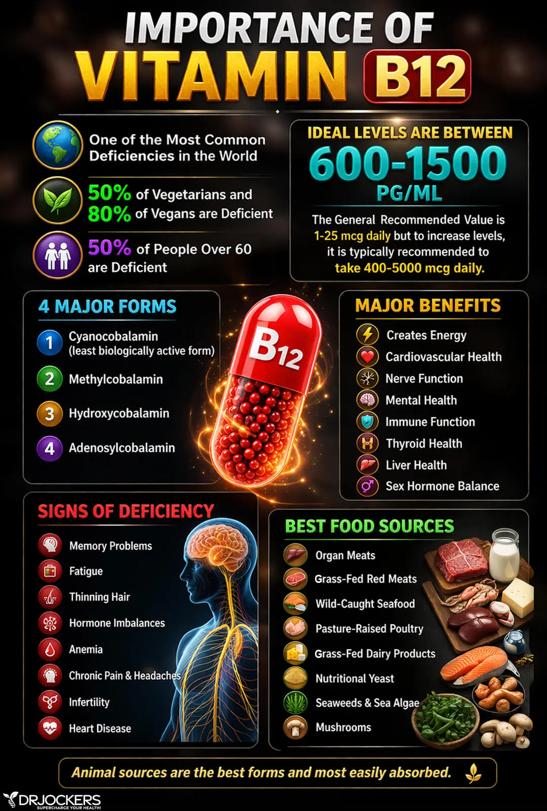 Vitamin B12 is an essential nutrient required for making healthy red blood cells, building DNA, and...