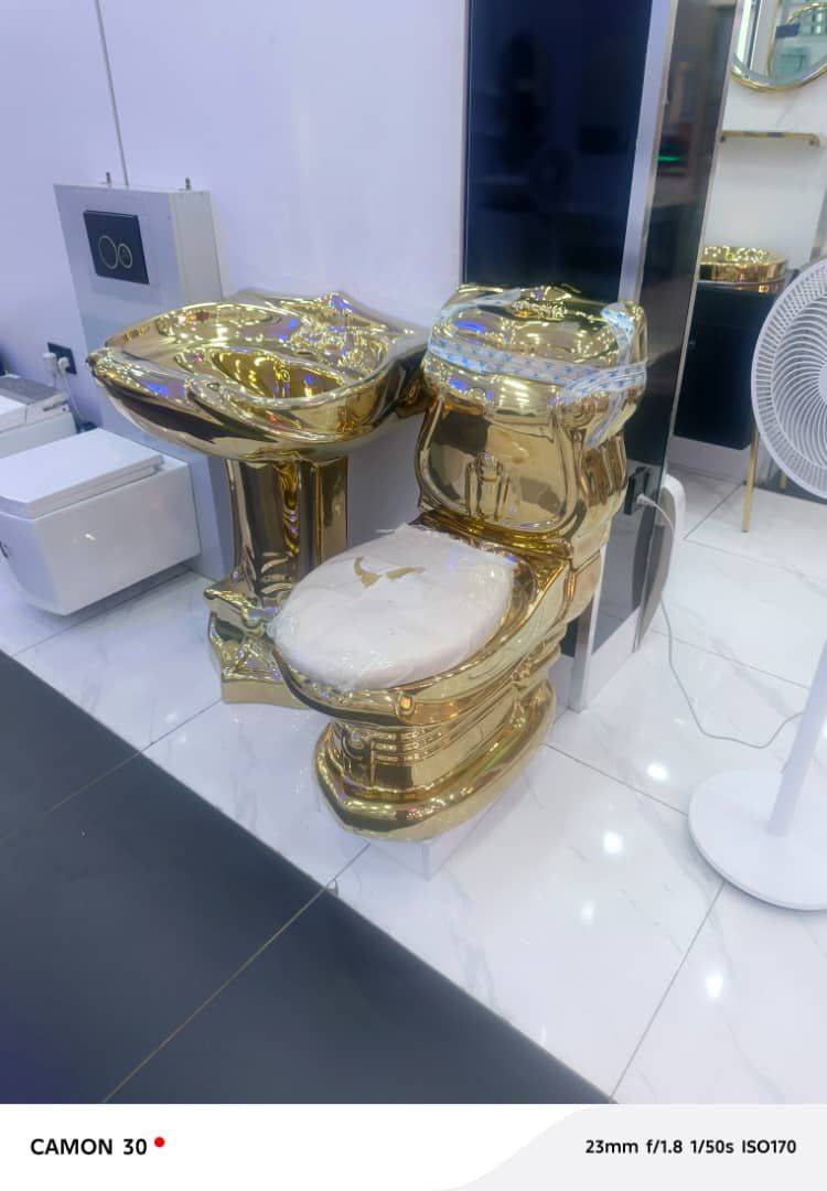 Executive water closet available in different models