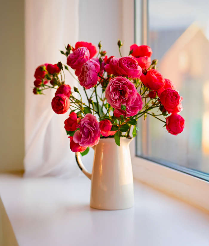 This is how beautiful Life Should be, if we can buy beautiful flowers, decorate houses, offices, sch...