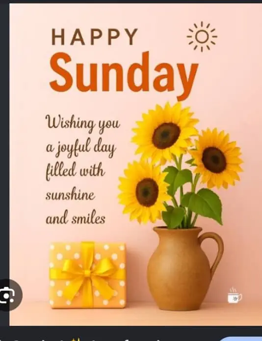 Happy Sunday to you all