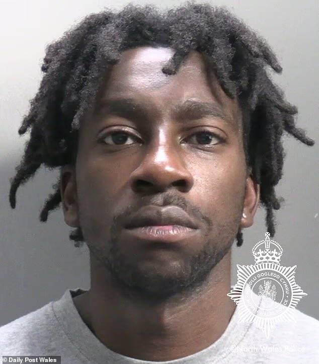 Nigerian migrant Gift Oladele jailed for 17 years for raping young woman in UK