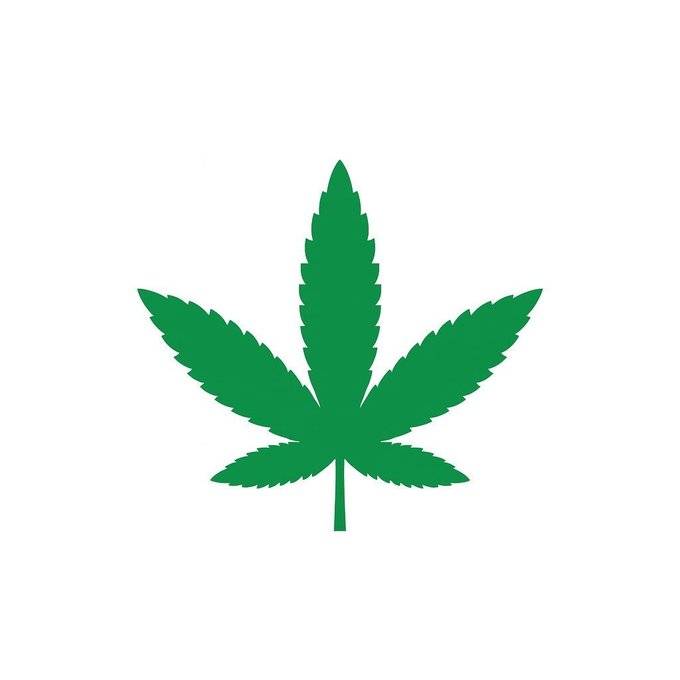 US study has found out that marijuana use is damaging brain development in teenagers.