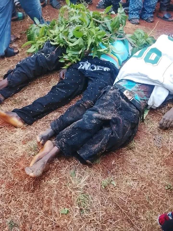 Five people were killed in a fresh attack in Fan District, Barkin Ladi Local Government Area of Plat...
