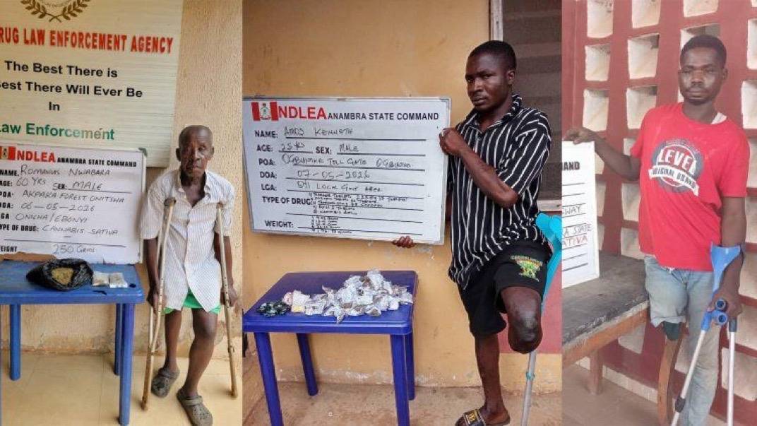 NDLEA has arrested three persons with disability for drug trafficking in Anambra and Kwara States