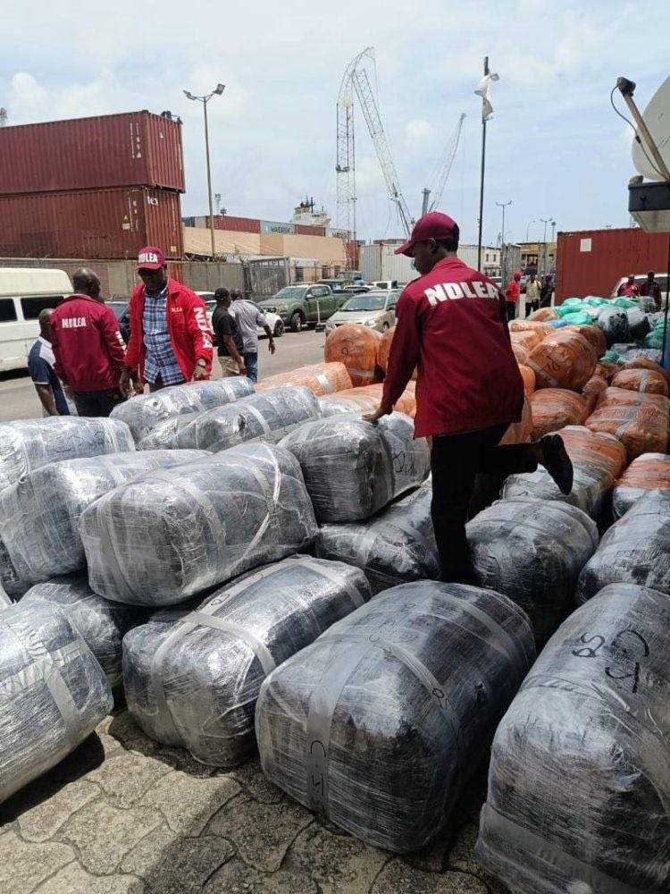 The NDLEA has intercepted ₦10.4 billion worth of Canadian Loud at Lagos port