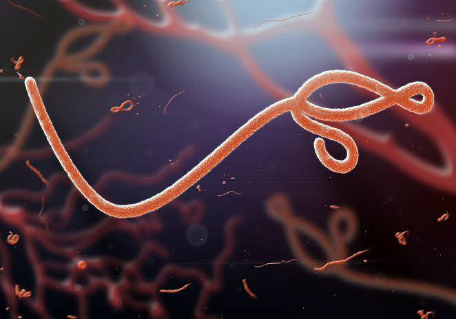 DR Congo has confirmed the first ebola case