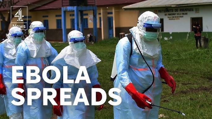 Doctors urge Nigerians to avoid eating bush meat to prevent the spread of Ebola