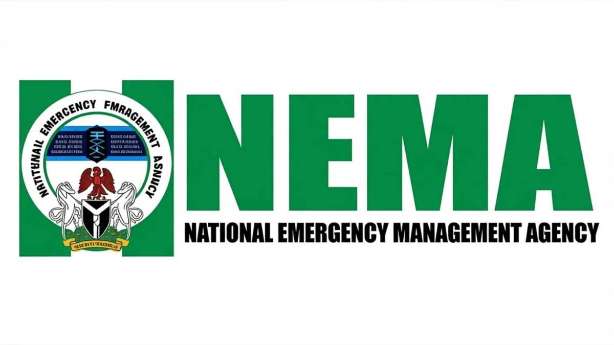 The National Emergency Management Agency (NEMA) has repatriated 497 Nigerian citizens stranded in Ni...