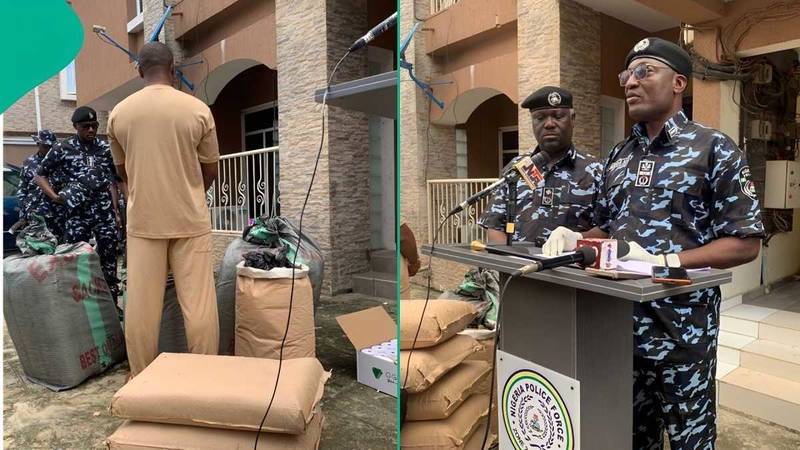 Police has rejected ₦500 million bribe, arrested suspect and seized Canadian Loud worth ₦7.8 billion