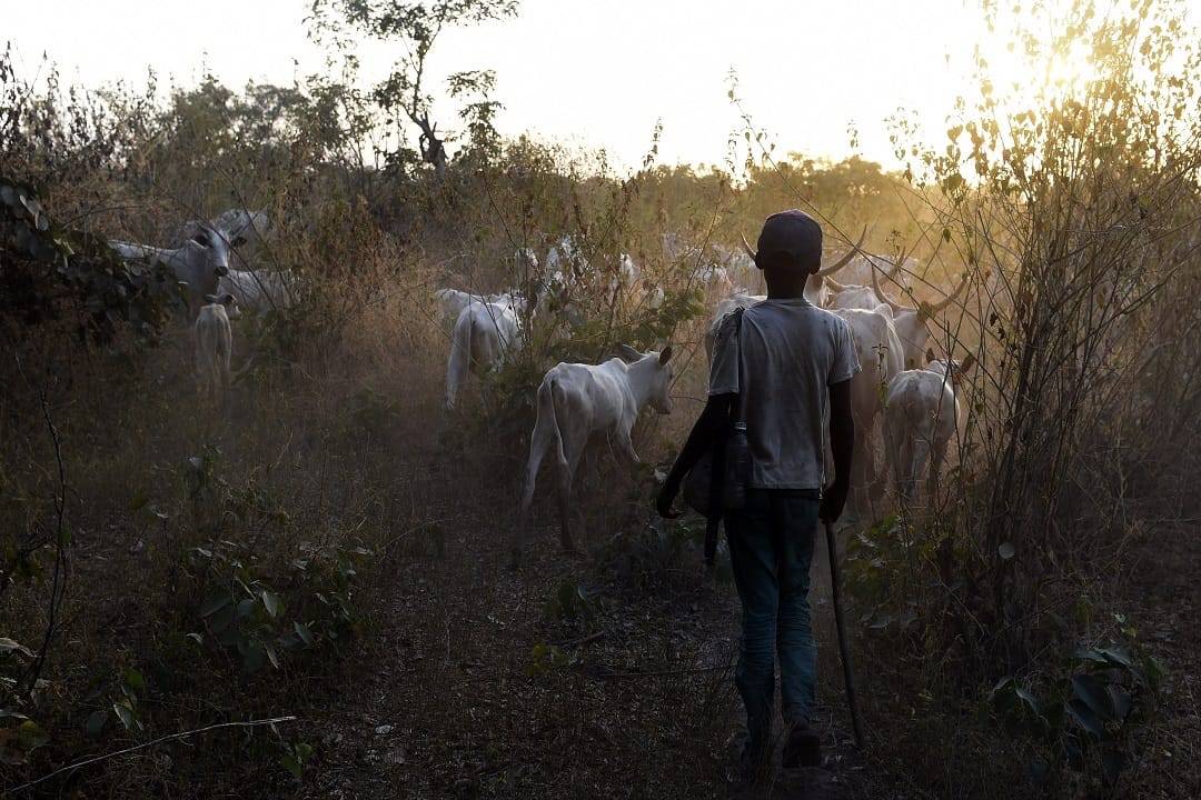 Stop portraying us as sole source of insecurity in Nigeria ๐ณ๐ฌ.
~ The Concerned Fulani People of Nig...