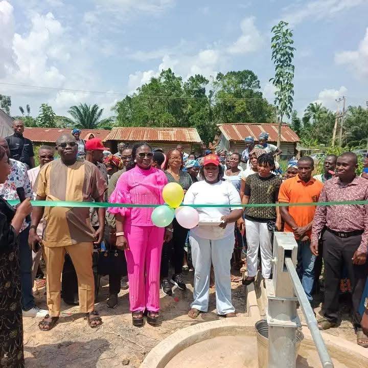Hon. Ifeoma Peace Agwu, Executive Chairman Ishielu LGA, Ebonyi state, has received social media crit...