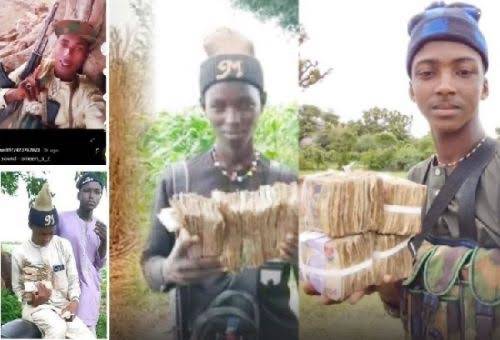 Senate orders the arrest of bandits flaunting cash on TikTok