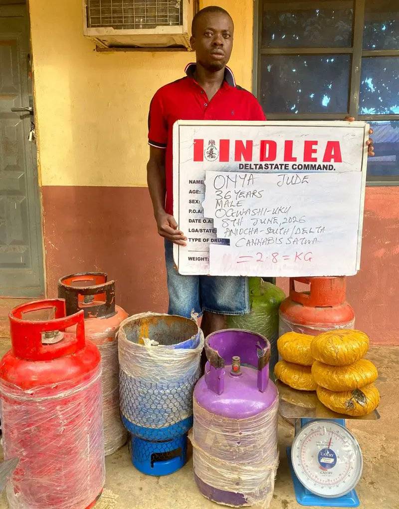The National Drug Law Enforcement Agency (NDLEA) says it has arrested several suspects and recovered...