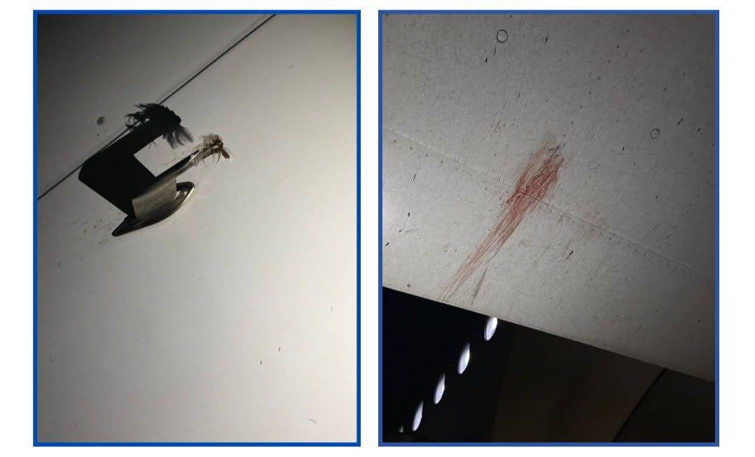 An Air Peace aircraft operating a scheduled flight from Abuja to Kano has been grounded after experi...