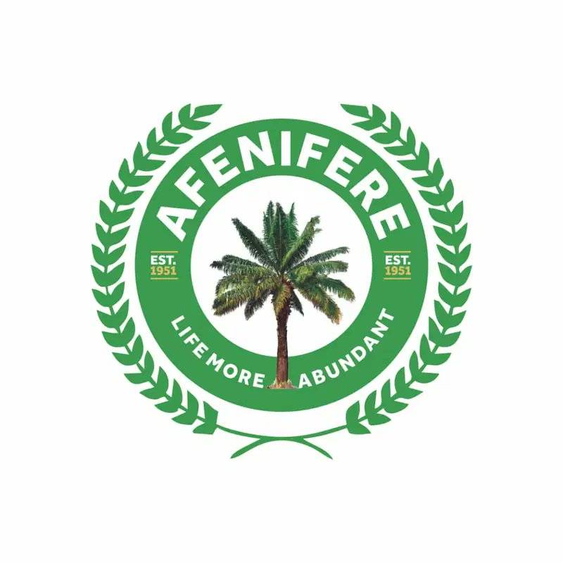 The pan-Yoruba socio-political organisation, Afenifere, has warned that worsening insecurity across...