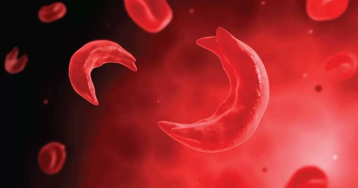 A coalition of women and civil society groups in Niger State has called for compulsory genotype test...