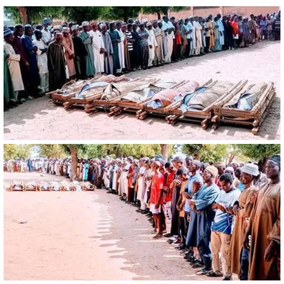 bandits' attack has claimed the lives of seven people in Sayaya community, Matazu Local Government A...