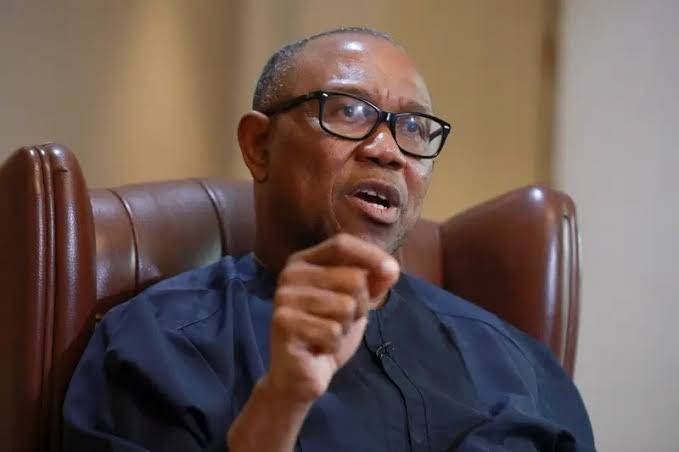 Peter Obi urged President Bola Tinubu to delay state police implementation until after the 2027 elec...