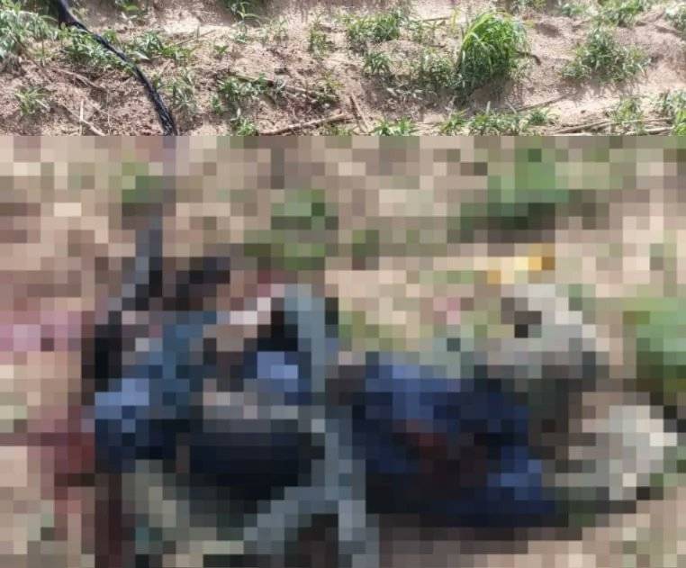 Nigeria army Troops of Sector 2 of the Joint Task Force North West, Operation FANSAN YAMMA, have neu...