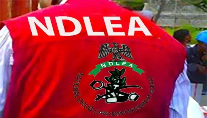 Apapa NDLEA intercepts 13 drug containers in one year