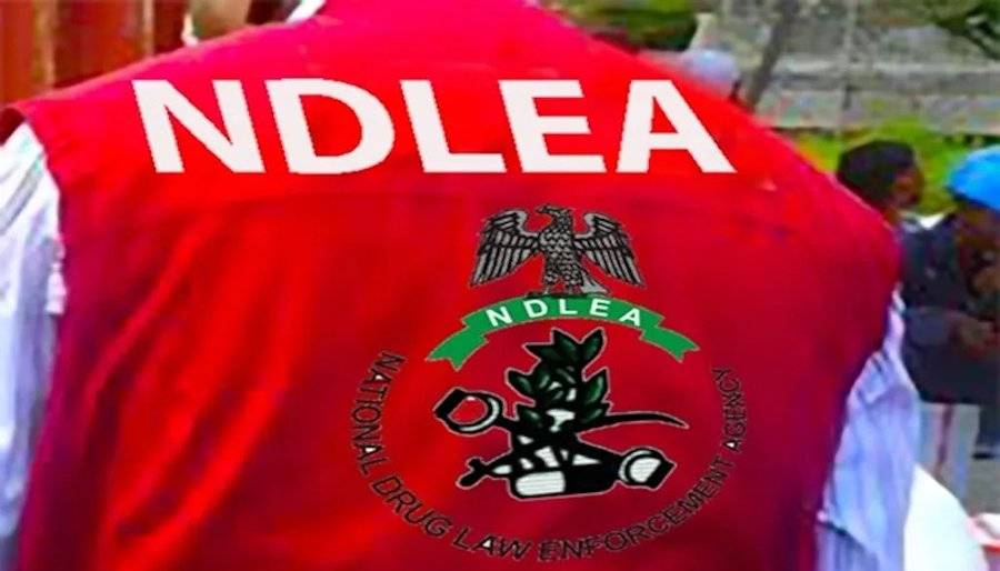 The Federal Government is considering the removal of the option of fines for persons convicted of dr...