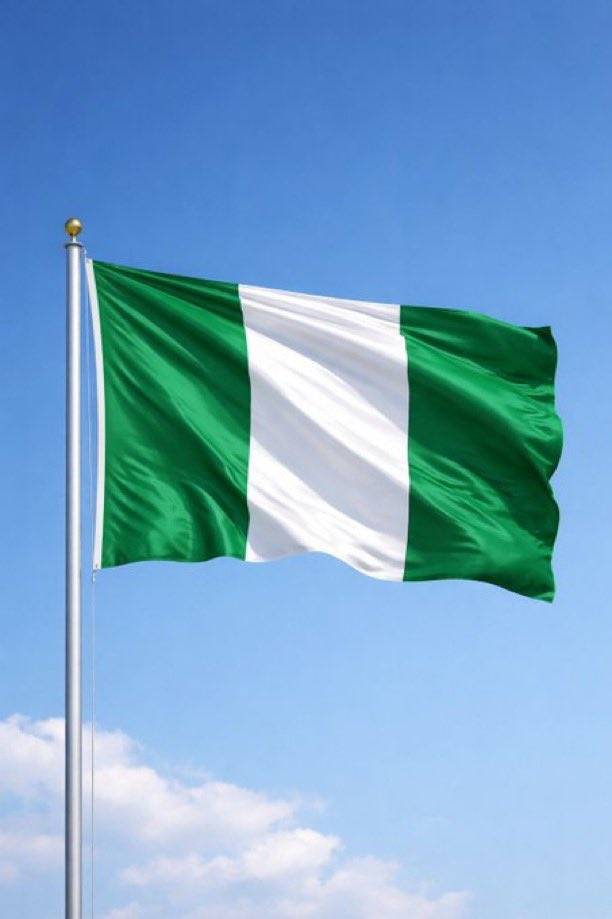 Nigeria has topped the economic performance pillar among African countries in the IMD World Competit...