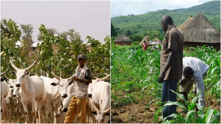 The Niger State Police Command has confirmed that 18 people were killed in a clash between farmers a...