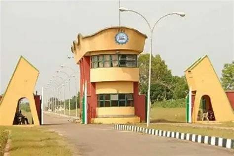 The Federal Government has commenced the construction of a 1.6-MWp/1.5 MWh solar mini-grid at the Fe...