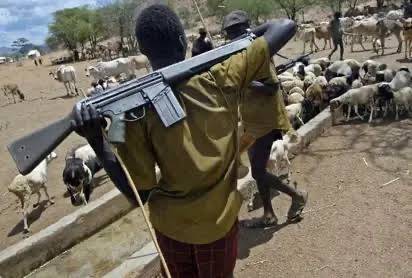 Suspected armed herders again attacked an Ondo community in the Ogboju District of Otukpo Local Gove...