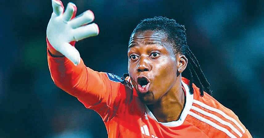 Super falcons and Brighton goalkeeper Chiamaka Nnadozie has finished the 2025/26 Barclays Women’s Su...