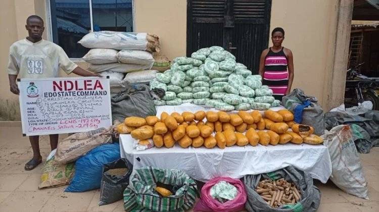 NDLEA has intercepted 1.63 million pills of tramadol concealed in specially fabricated compartments...