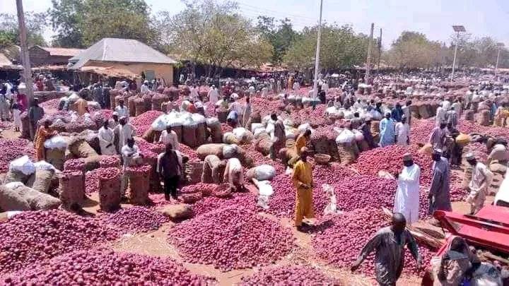 Nigerian ๐ณ๐ฌ Onion sellers have raised alarm over seized Nigerian trucks in Ghana ๐ฌ๐ญ